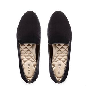 Birdies black velvet Starling